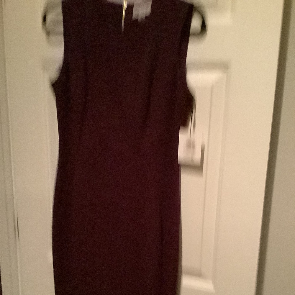 Calvin Klein Deep Maroon Sleeveless Shift Dress (size 10)